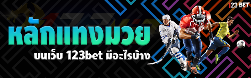 หลักแทงมวย บนเว็บ 123bet มีอะไรบ้าง