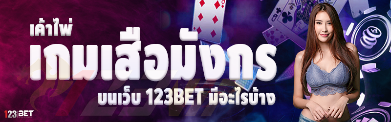 เค้าไพ่ เกมเสือมังกร บนเว็บ 123bet มีอะไรบ้าง